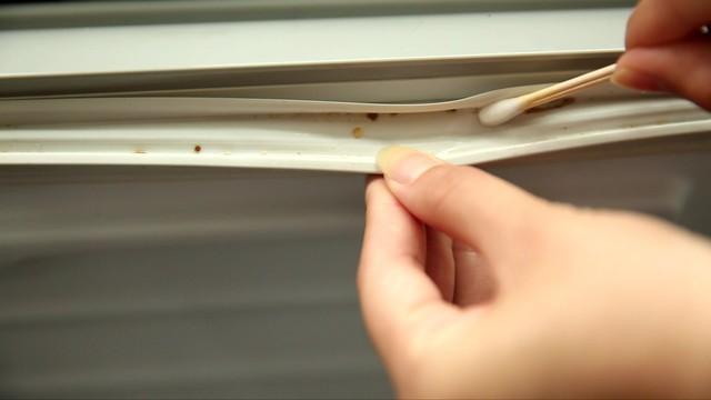 天塌了!全是上亿细菌!家家户户天天在用,别不知道了!快看看!